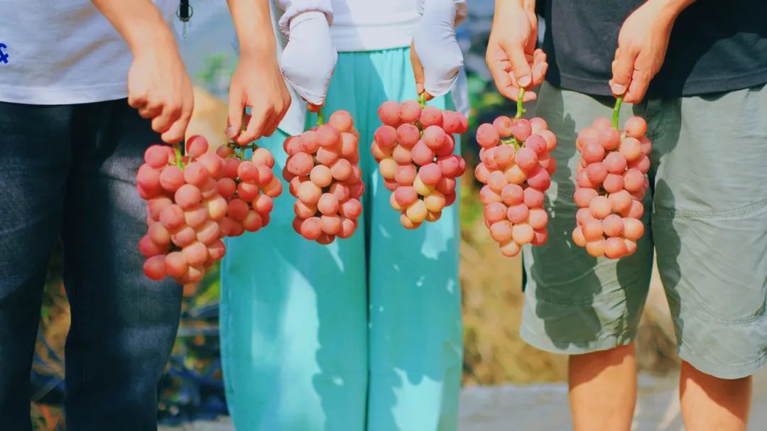 3eac75e53d24f9891692cb2f7c5361e.jpg 3eac75e53d24f9891692cb2f7c5361e.jpg