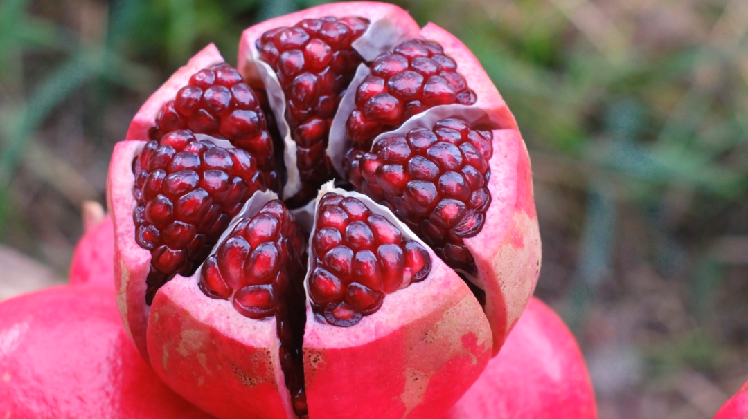 1851b73f0fe01014d2c30c4e347973e.jpg 1851b73f0fe01014d2c30c4e347973e.jpg