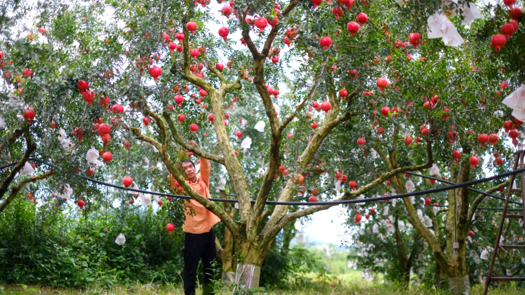 b35a842a108b575039cfdcda6cb7b2d.jpg b35a842a108b575039cfdcda6cb7b2d.jpg