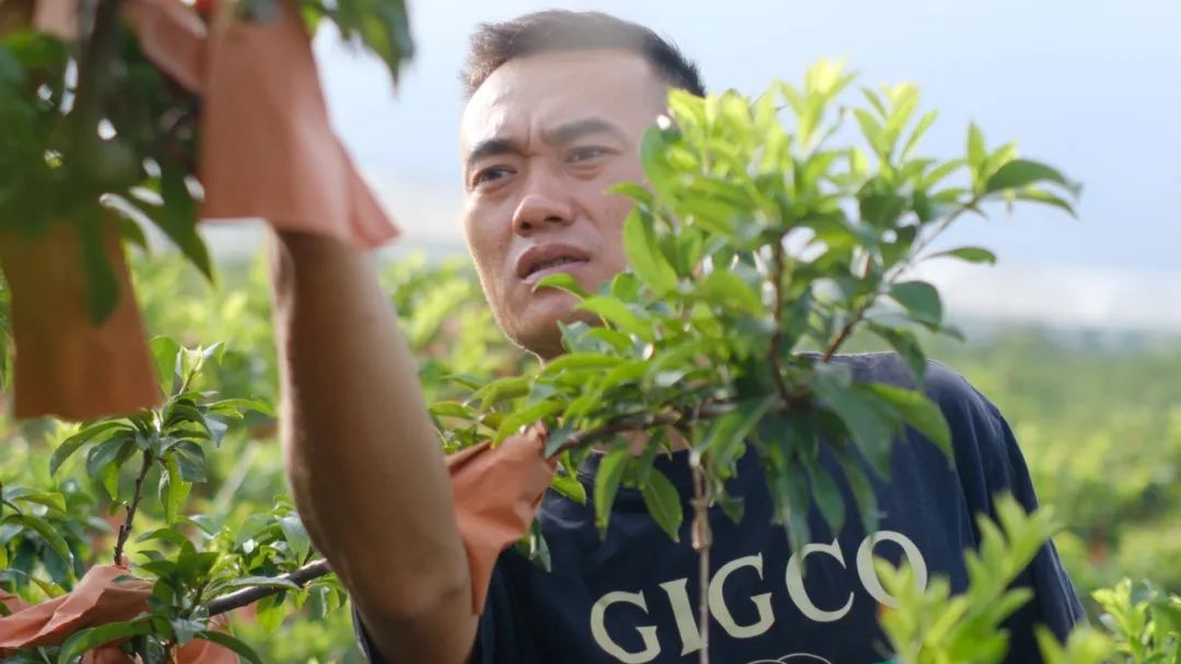 11e6e503e38ae9045c8c082b85f1a8d.jpg 11e6e503e38ae9045c8c082b85f1a8d.jpg