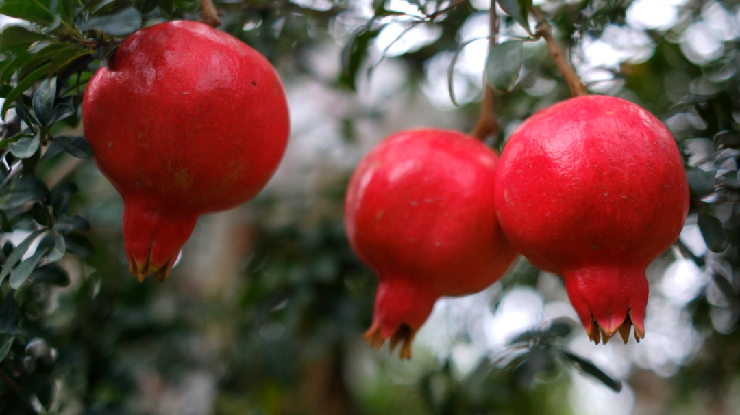 f4234d5ee6dcee9652f9833df133740.jpg f4234d5ee6dcee9652f9833df133740.jpg