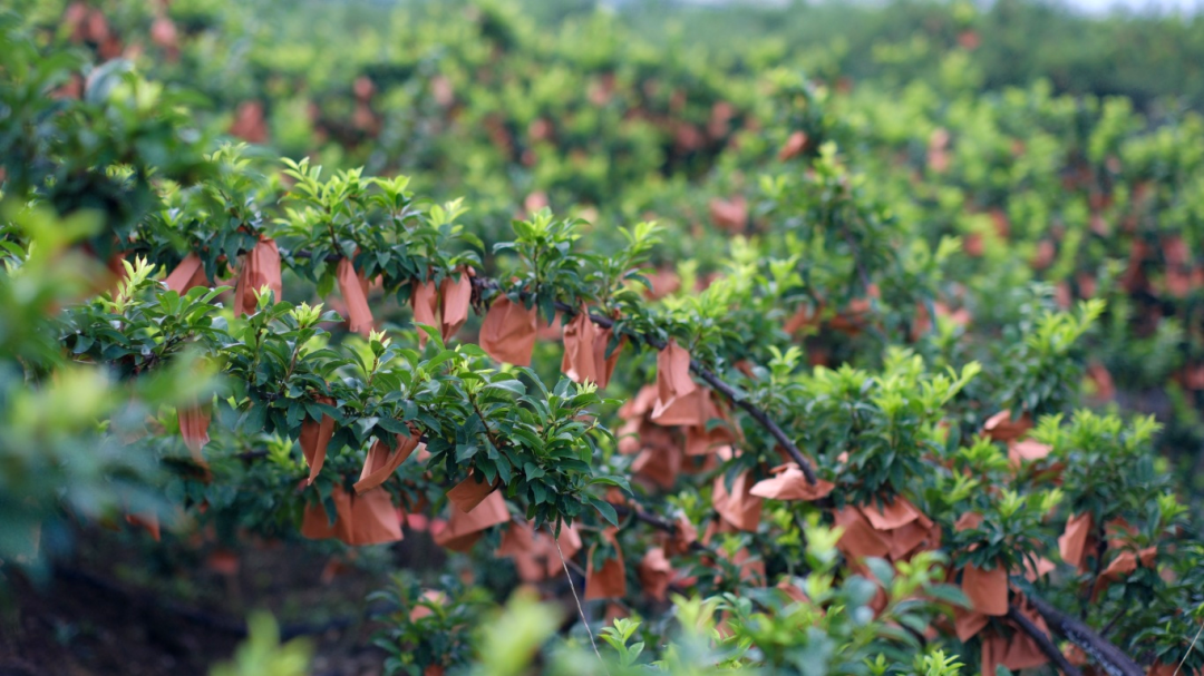 07b3c8d6f23d901f94701062f7a8774.jpg 07b3c8d6f23d901f94701062f7a8774.jpg